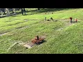 Bob Ross Gravesite