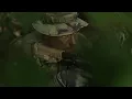 Download Lagu Dutch Soldiers and American Marines Join Forces in Surinamese Jungle Training