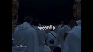 والحبيب لا يعذب حبيبه دندنها