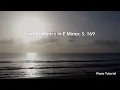 Liszt Romance in E Minor S.169 Piano Tutorial