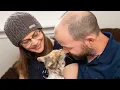 Fort Smith considers requiring permit to sell animals in city to curb issue with stray cats dogs