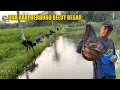Download Lagu PANTANG PULANG SEBELUM STRIKE BELUT BESAR
