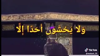 نغمه الدكتور عبد الفتاح الطاروطي روعه  نغمه الدكتور عبد الفتاح الطاروطي روعه