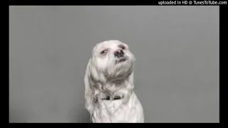                        صاروخ الشوسمو النووي  انتاج دندنها
