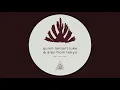 Quinn Lamont Luke & Alex From Tokyo - Not My Day (Tokyo Black Star Remix)