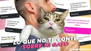 LO QUE NUNCA TE CONTÉ SOBRE MI GATO ALCACHOFO🐯 🐾 Preguntas y respuestas⁉️| Especial 7º aniversario 🎉