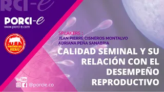 CALIDAD SEMINAL Y SU RELACIÓN CON EL DESEMPEÑO REPRODUCTIVO EN PORCINOS