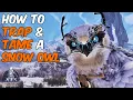 The Easiest Way To Trap Tame a Snow Owl in ARK Survival Ascended Extinction Full Ability Guide