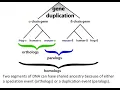 Pairwise Sequence Alignment