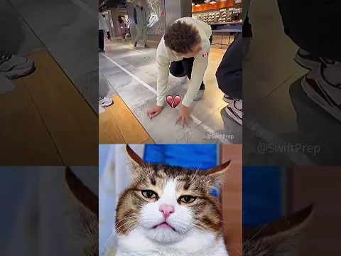 wtf 😂🤣 #shorts #aura #funny #cat #memes #dance