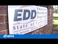 State auditor blasts EDD for bungling California unemployment crisis