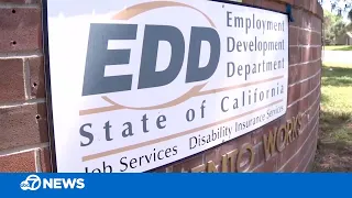 State auditor blasts EDD for bungling California unemployment crisis