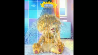 زياد تامر حمدي 