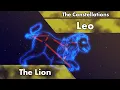 The Constellations - Leo