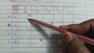 Needleman Wunsch Algorithm for sequence alignment