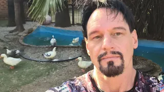 michael jamison is live!