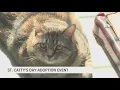 You can find your furry lucky charm at the Humane League of Lancaster County