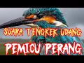 Download Lagu Suara Burung Tengkek Udang 🔊 Masteran \u0026 Pemancing Kicau Alami