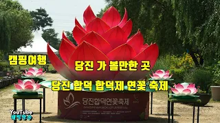 캠핑여행 당진 가 볼만한 곳 당진 합덕 합덕제 연꽃 축제 7/21 썸네일
