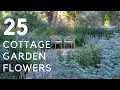 Download Lagu 25 Beste Cottage Garden-bloemen (en welke zijn gemakkelijk te verzorgen!)