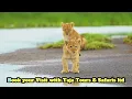 Lagu SAVANNAH PREDATORS