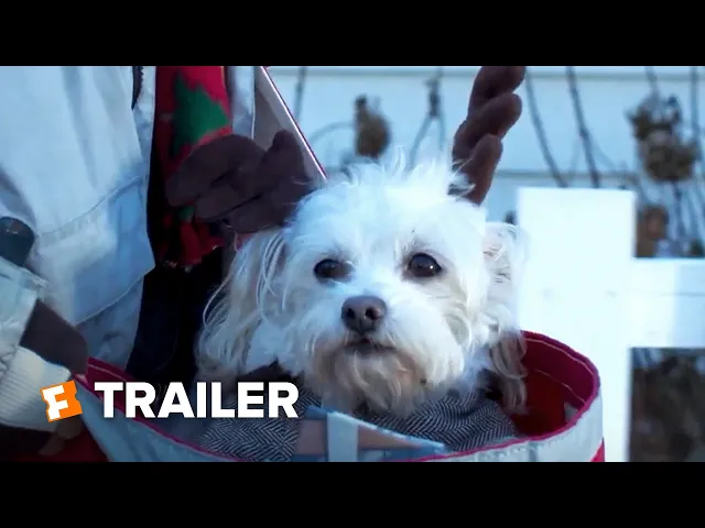 Charlie's Christmas Wish Trailer #1 (2020) | Fandango Family