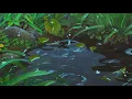 aesthetic anime gif rain