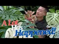Download Lagu Plant Chores with Interesting + Important Updates | Cancelled 🇺🇸 US Trip 😭 | Moving to Bangkok?