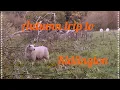 Autumn shopping in Kidlington - Oxford Canal
