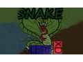 Snake in C programming - Code Blocks