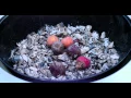 Download Lagu RECEPT - Bietensalade op de houtskool van de barbecue