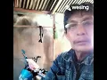Download Lagu Jelita Siapa Engkau
