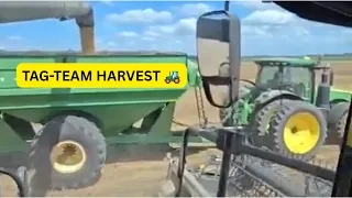 Harvesting in Louisiana Life Inside the Combine