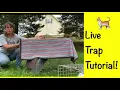 How to use a live trap for trap neuter return TNR feral cats