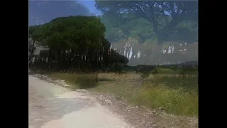         دندنها