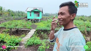 SETELAH EMPAT BULAN MERANTAU, BEGINI PERKEMBANGAN LAHAN WARGA CIREBON DI TRANSMIGRASI KALIMANTAN