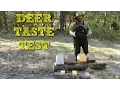 What do Deer Eat Deer Salt Block Taste Test