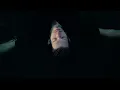 Mansionair - Shallow Water