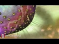 mRNA Translation Basic
