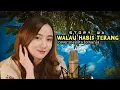 Download Lagu Story wa || Walau habis terang || Meisita lomania cover