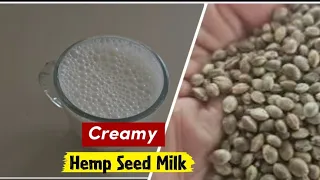 The Easiest Homemade Hemp Seed Milk Recipe (Protein & Omega-Packed)