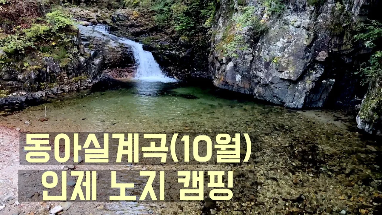 인제 노지 캠핑 (동아실계곡) 가을 サムネイル