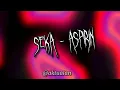Download Lagu SEKA - ASPIRIN speed up songs 🤩