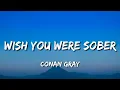 Download Lagu Conan Gray - Wish You Were Sober (Lyrics) \