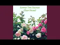 Download Lagu Summertime Sadness (Deep House)