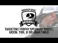 Targeting Trophy Speckled Trout Moon Tide and Solunar Activity