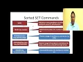 REDIS - SORTED SETS Introduction and Commands NoSQL