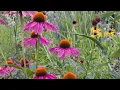Woldumar Nature Center of Lansing Michigan in 4K U