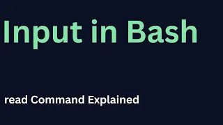 Bash Tutorial for Beginners read Command Variables Explained