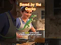 Download Lagu House Gecko, The Guardian Angel #shortsvideo #shortsviral #animals #carpenter #story